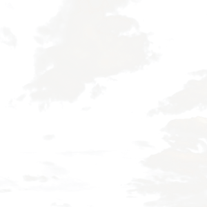 Timeless Classic Collection